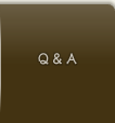 Q&A
