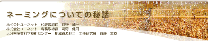 ネーミングについての秘話